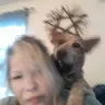 Ruff House Rescue - dog rescue organization - Photo 1