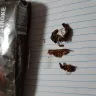 Imperial Tobacco Australia - riverstone premium rum blend 25g - Photo 1