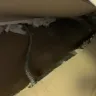 NYC Housing Authority [NYCHA] - gas outage - Photo 3