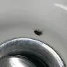 Red Roof Inn - bed bugs - Photo 1