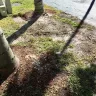 Florida Power & Light [FPL] - subcontracting work not completed... - Photo 2