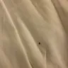 Baymont Inn & Suites - bed bugs and receipt not given