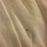 Baymont Inn & Suites - bed bugs and receipt not given - Photo 1