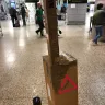 BahamasAir Holdings - lost baggage - Photo 4