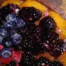 Shaw's - fruit tart choc bin