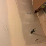 Blue Wave Construction - unethical behavior - lies - Photo 3
