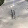 UPS - delivery truck damaging driveway - Photo 3