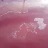 Toyota - paint peeling on my 2012 4runner - Photo 1
