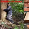 Resources Fiji - raintree lumber
