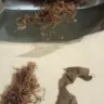 Imperial Tobacco Australia - champion ruby legend 20 gm pouch roll your own. - Photo 1
