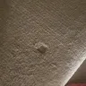 SCS - carpets - Photo 2
