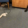 Carnival Cruise Lines - cleanliness/customer service/theft - Photo 1