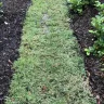 D.R. Horton - garage floors/water irrigation - Photo 5
