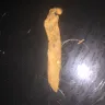 Imperial Tobacco Australia - my packet of smokes I paid money for - Photo 1
