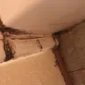 Budget Suites of America - black mold