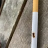 Imperial Tobacco Australia - jps red 40 pack - Photo 1
