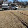 Asplundh Tree Expert - damage to private lawn by asplundh bucket truck while trimming trees for our local power co.