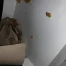 Taco Bell - a hair in my food. - Photo 1
