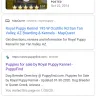 Royal Puppy Kennel - breeding practice, false or misleading advertising, and location of business, puppy documents are no real - Photo 6