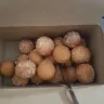 Tim Hortons - 20 pack of timbits