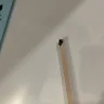 RIU Hotels & Resorts - Roaches in room - Photo 1