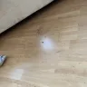 Gumtree - flat cleaning (start of tenancy) - Photo 1