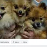 Facebook - hero is attacked by scammer felon randy alyne boles from sullivan, ohio - Photo 28