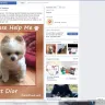 Facebook - hero is attacked by scammer felon randy alyne boles from sullivan, ohio - Photo 30