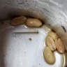 Aldi - Cocktail peanuts with sea salt - Photo 2