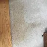 Sears Carpet & Air Duct Cleaning - carpet cleaning - Photo 1