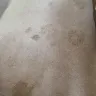 Sears Carpet & Air Duct Cleaning - carpet cleaning - Photo 2
