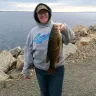 Joshua and Crystal Tessmer - They scammed a 71 yr old Widow woman out of her RV - Photo 2