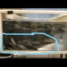 LuLu Hypermarket - regarding fish - Photo 2