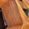 PODS Enterprises - mice inside storage container - Photo 1