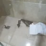 RIU Hotels & Resorts - guest room issues - Photo 3