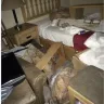 Hotels.com - Room at Rodeway Inn AZ State - Photo 1