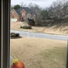 TruGreen - Yard care - Photo 1
