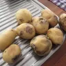 Coles Supermarkets Australia - Bag of potatoes the were rotten