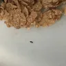 Kellogg's - bugs in cereal