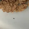 Kellogg's - bugs in cereal - Photo 1