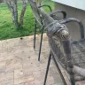 HomeAway - the property i rented was completely misleading, current reviews which were equally bad, not posted timely and horrible experience with high price! - Photo 6