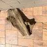 HomeAway - the property i rented was completely misleading, current reviews which were equally bad, not posted timely and horrible experience with high price! - Photo 7