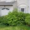 Carrington Mortgage Services - Request for assistance with property - 8806 hardesty drive clinton md 20735 - Photo 9
