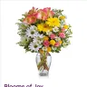 Bloomex - Misleading advertisement - Photo 1