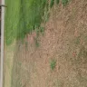 TruGreen - Neighbors trugreen service crew damaged my property - Photo 2