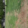 TruGreen - Neighbors trugreen service crew damaged my property - Photo 1