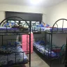 Thomas Didymuz Toh Tong Nam - illegal workers dormitory at cck ave 1 - Photo 1
