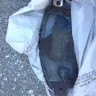 Advance Auto Parts - Brake pads wear ever gold series - Photo 1