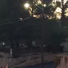 Arizona Public Service [APS] - Street light too bright - Photo 2
