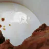 KFC - I am complaining about the Wingham Ontario location. Very greasy chicken and dark in colour. - Photo 2
